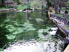 Vrelo Bosne