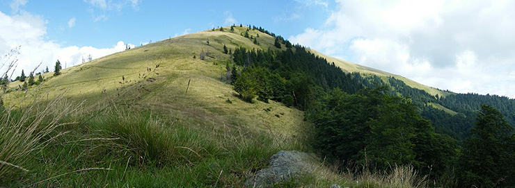 Polonina Piškoňa
