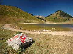 Bjelasica