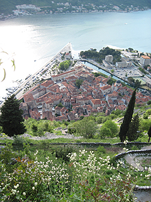 Kotor