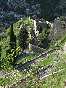 Kotor