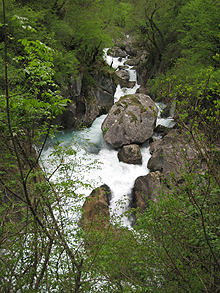 Kaňon řeky Mrtvice