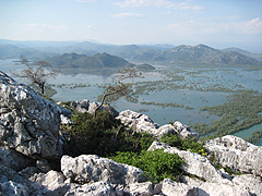 Skadarské jezero