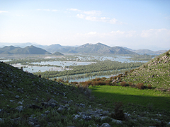Skadarské jezero