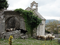 Stari Bar