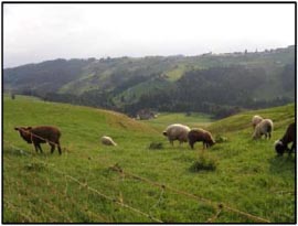 Švýcarsko 2010