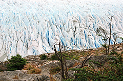 Ledovec Glaciar Grey v NP Torres del Paine