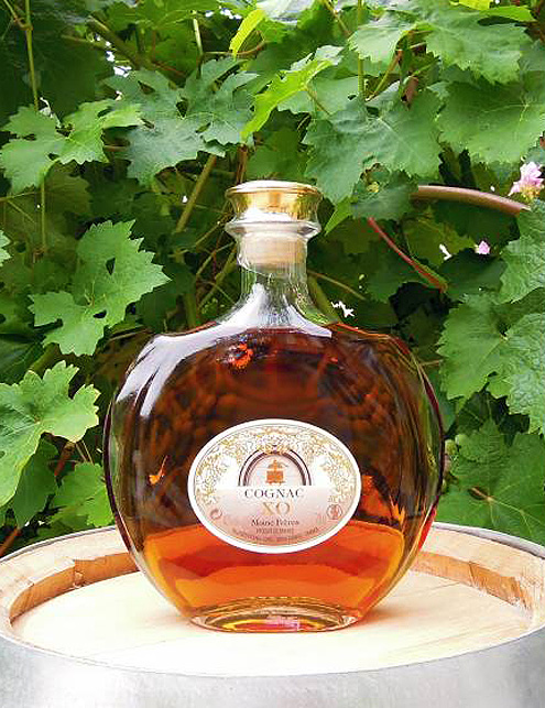 Cognac - vinná brandy