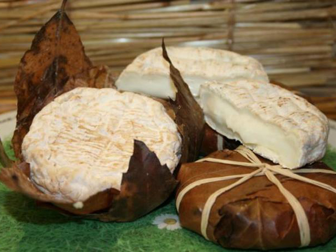  Kozí sýr Banon se balí do kaštanových listů