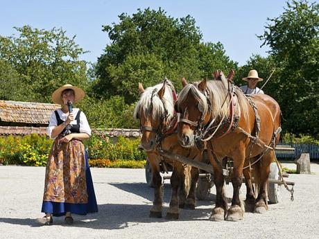 Alsaská vesnice z počátku 20. století připomíná svojí historii nejen koňmi
