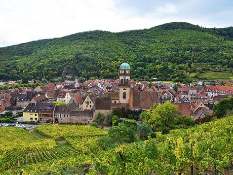 Rozsáhlé vinice v okolí městečka Kaysersberg