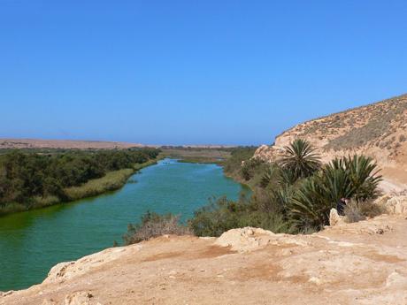Národní park Souss-Massa je tvořen vodními toky s rákosím
