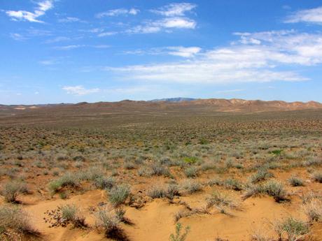 Rozlehlá poušť Kyzylkum znamená v překladu "červený písek"