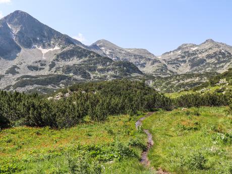 Skalnaté vrcholky hor v národním parku Pirin
