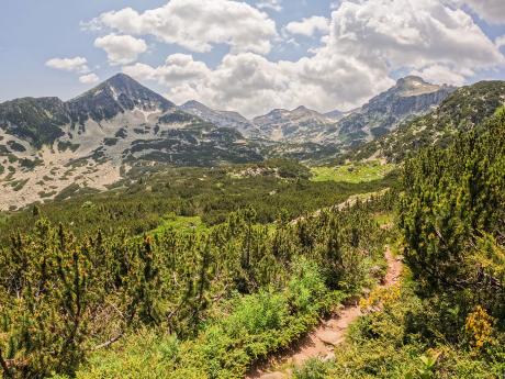 Barevné pláně a vrcholky národního parku Pirin