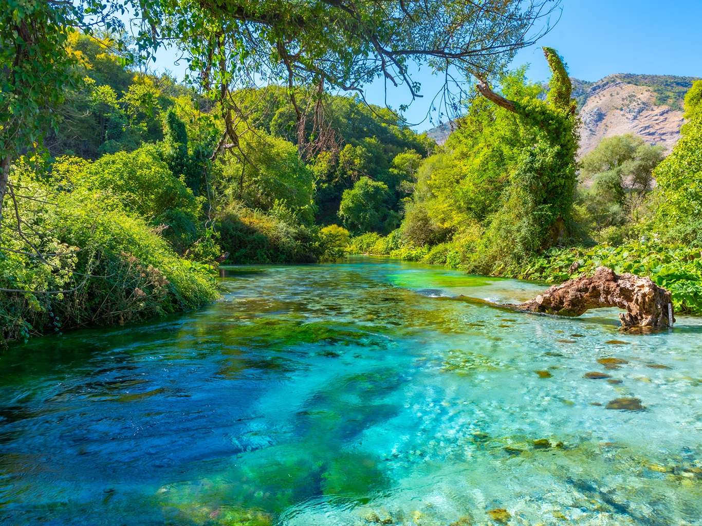 Koupání v Syri i Kaltër (Modré oko)