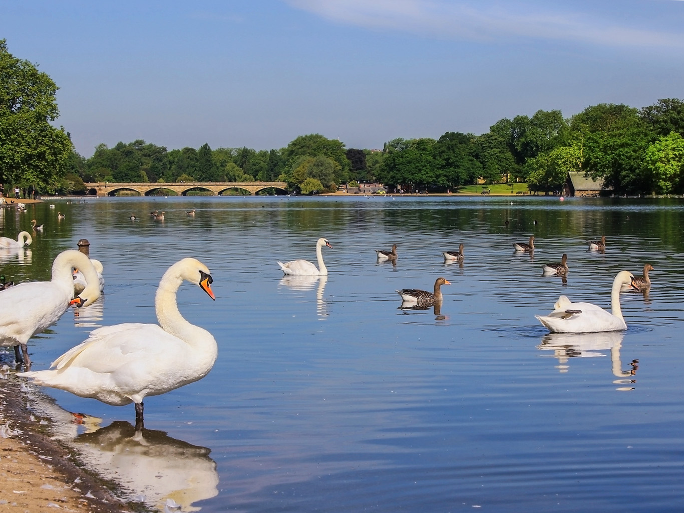 Vyhledávané místo pro relax v Hyde parku - jezero Serpentine