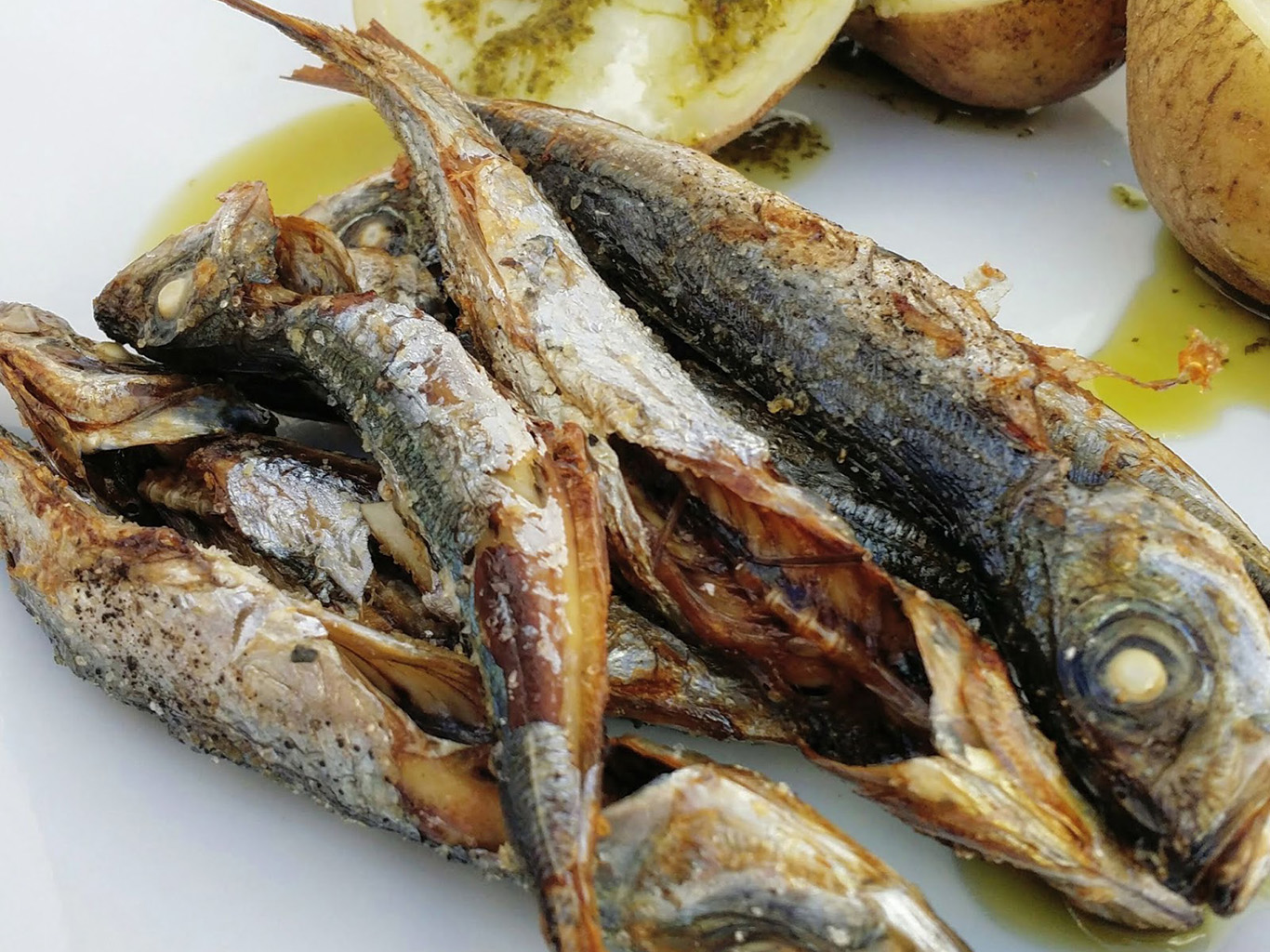 Pro Azorské ostrovy typické rybky chicarros