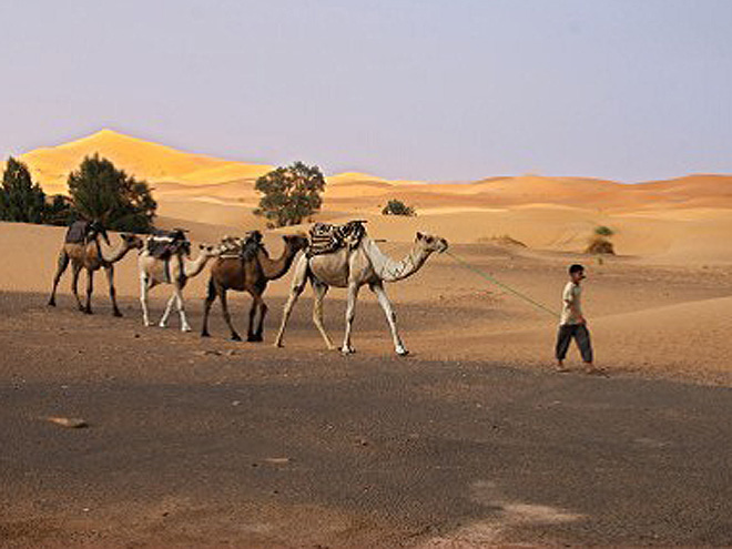 Sahara – duna Erg Chebbi