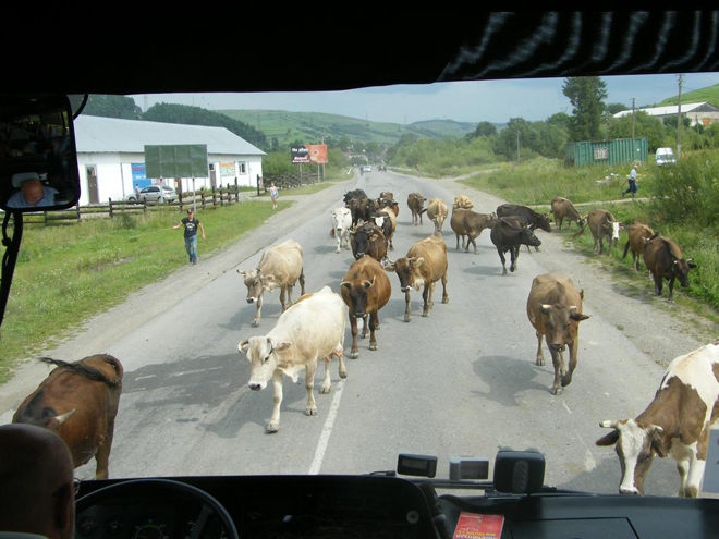 Běžná dopravní situace na Zakarpatské Ukrajině