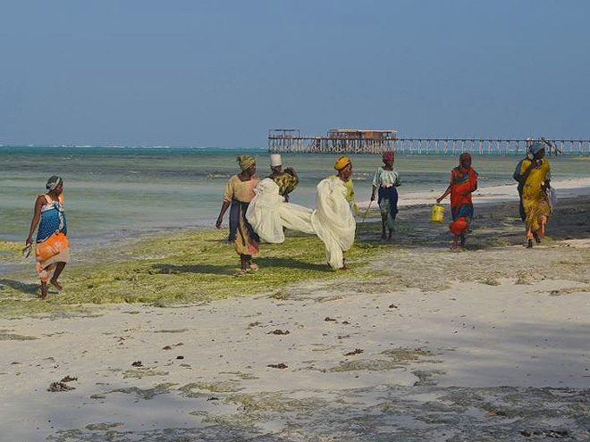 Rybáři na pláži Nungwi
