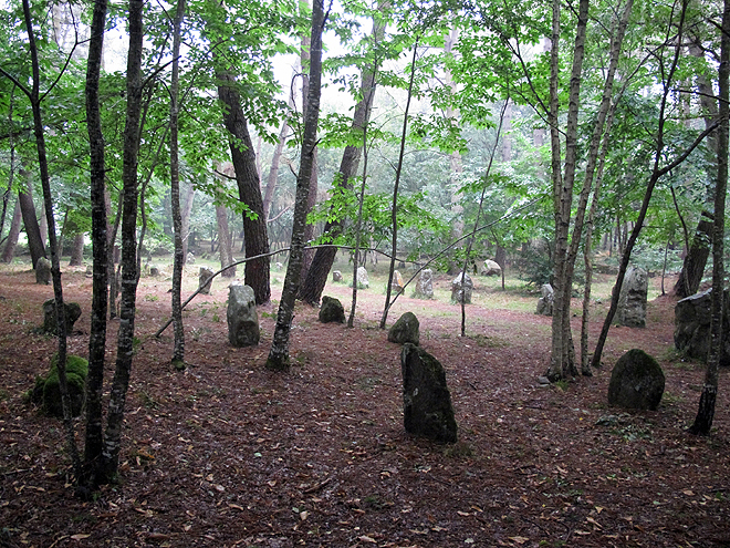 GPS nás zavedla do lesa plného menhir a dolmenů 