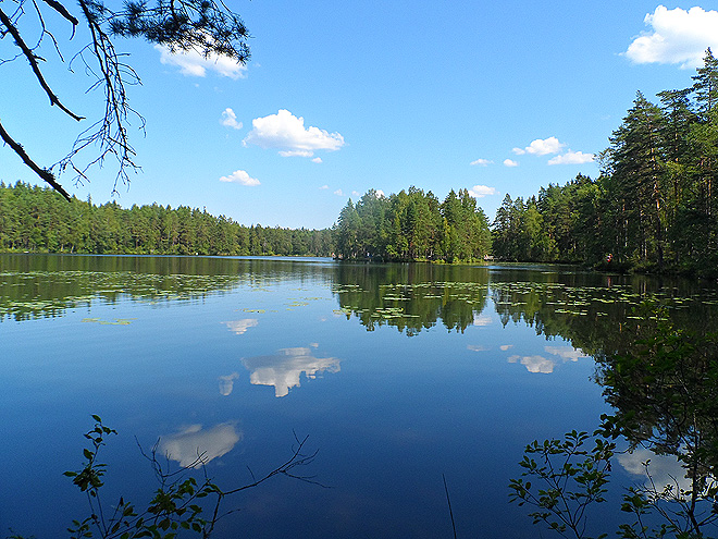 NP Nuuksio