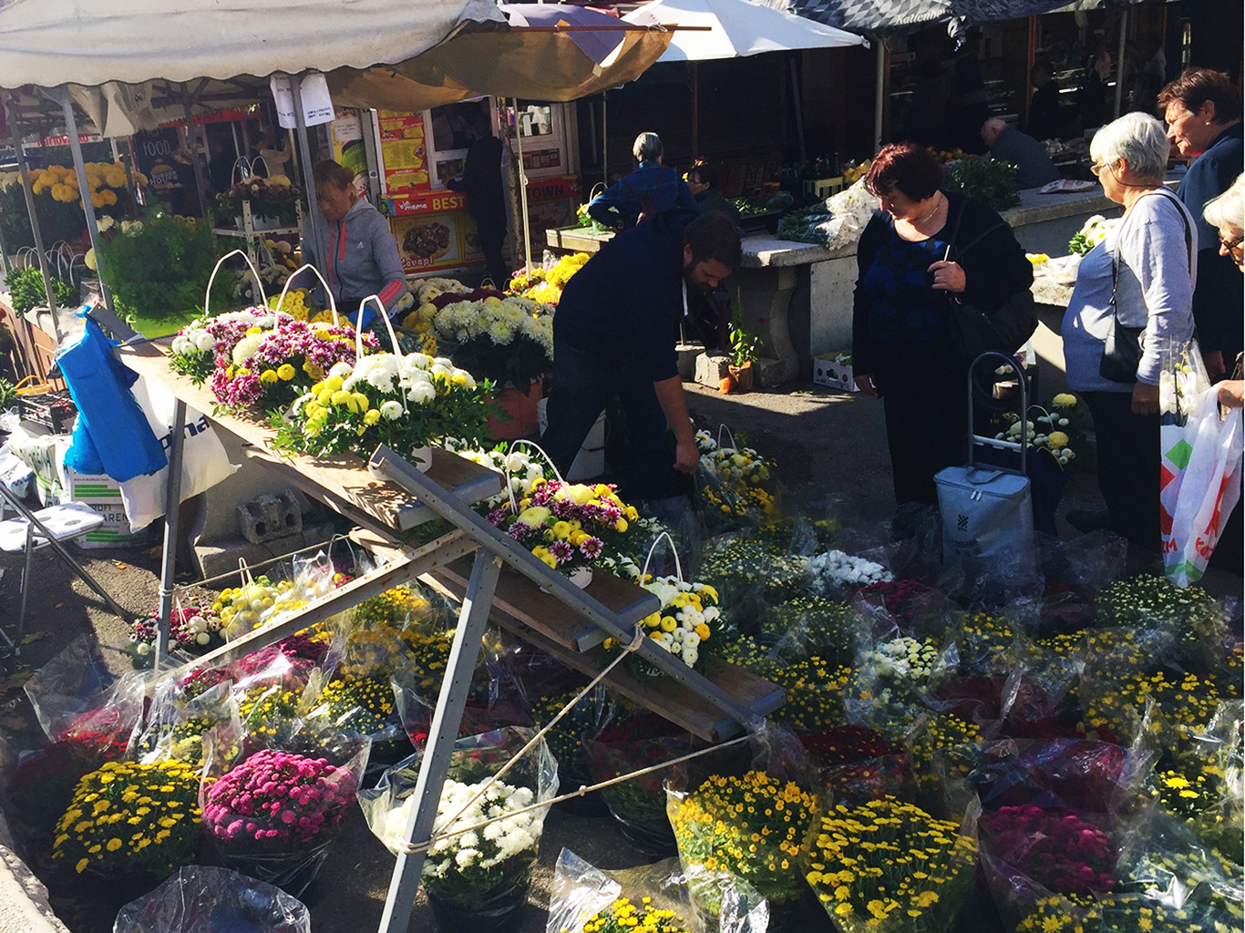 I v Chorvatsku jsou na začátku listopadu trhy zaplněné květinami