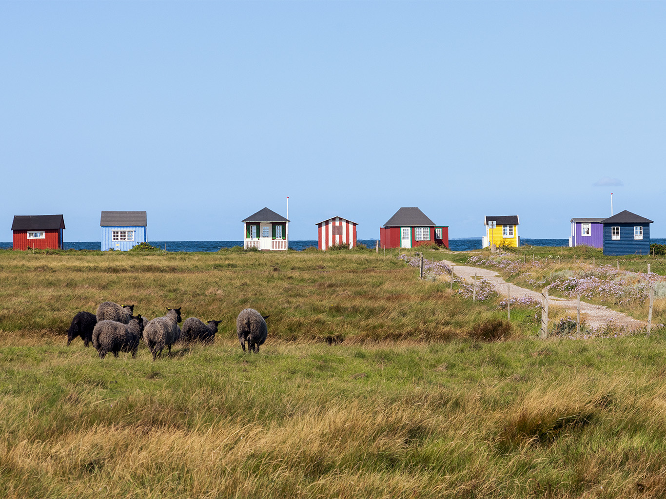 Barevné plážové domky jsou pro ostrov Ærø charakteristické