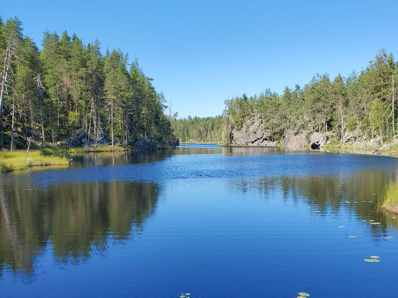 Národní park Hiidenportti je bohatý na vodní plochy a jehličnany
