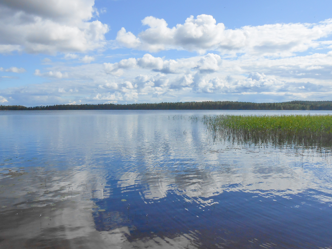 Jezero Suomunjärvi v NP Patvinsuo