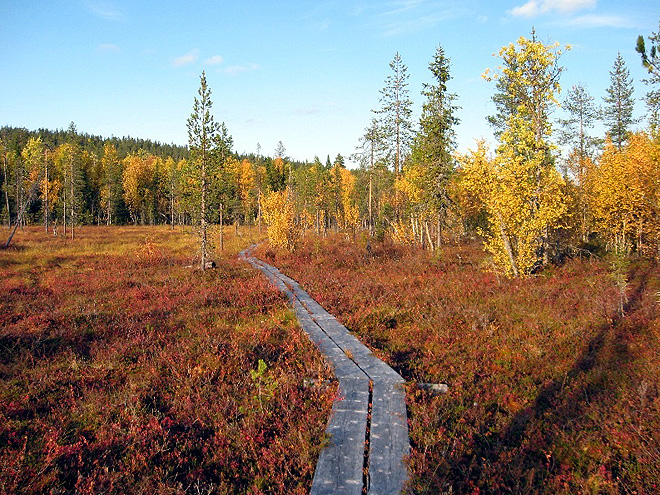 Na toulkách podzimním Finskem