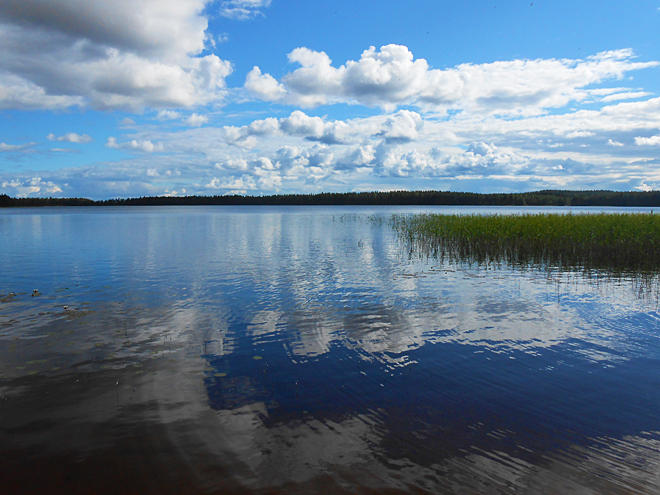 Jezero Suomunjärvi v NP Patvinsuo
