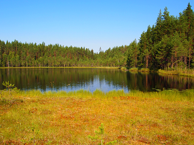 NP Leivonmäki kombinuje jezera, bažiny a hluboké lesy