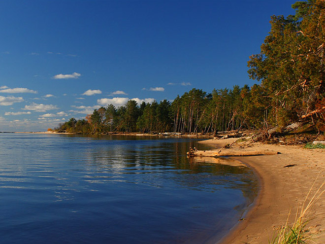 Jezero v národním parku Gauja