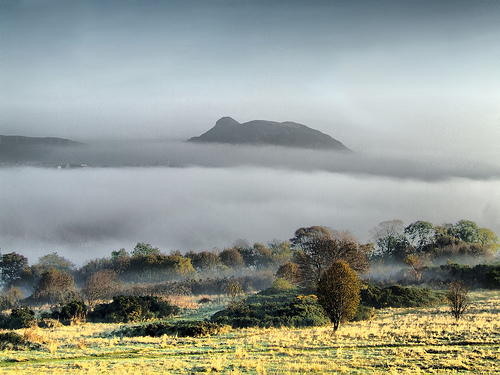 Pro skotské klima jsou typické mlhy husté jako smetana