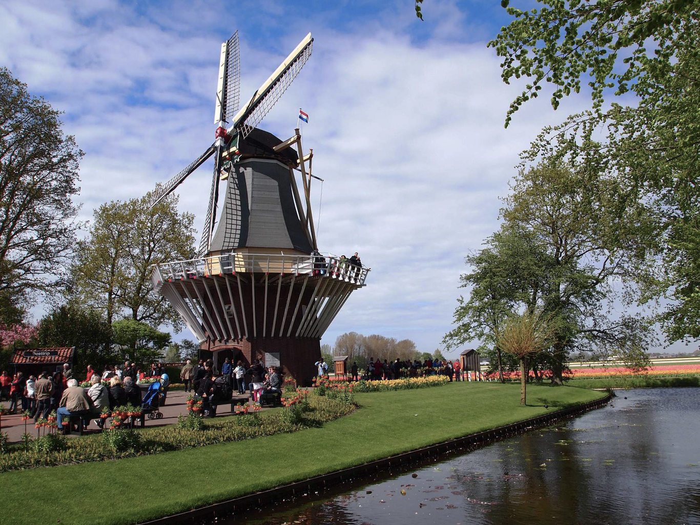 Větrný mlýn v květinové zahradě Keukenhof