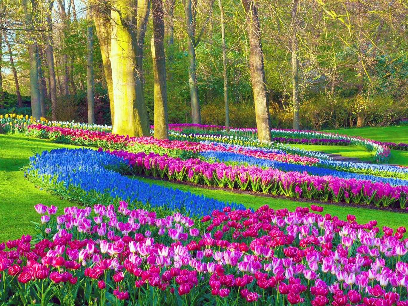 Keukenhof je tulipánový ráj