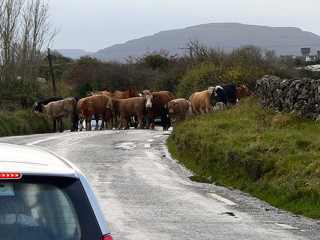 Dopravní zácpa na irském venkově