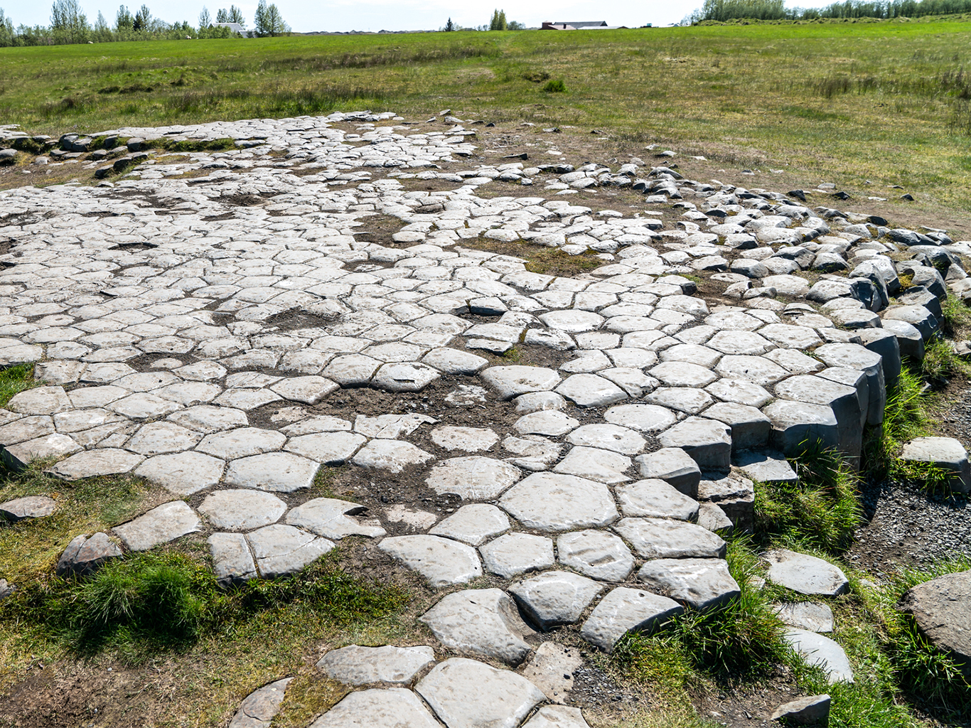 Přírodně vzniklé pole čedičových sloupů nedaleko vesnice Kirkjubæjarklaustur