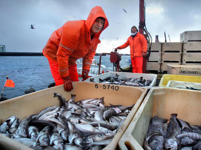 Rybařením se živí mnoho Islanďanů