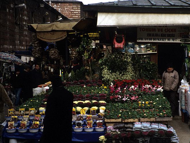 Na Egyptském bazaru můžete zakoupit i květiny či živá zvířata