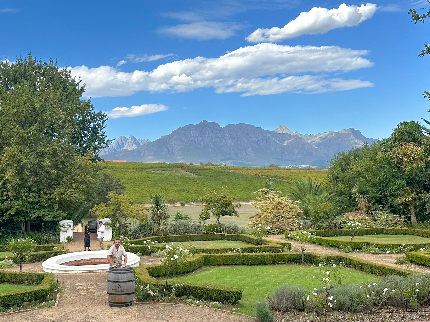 Víno u Stellenbosche roste v úrodné půdě na úpatí pohoří Cape Fold