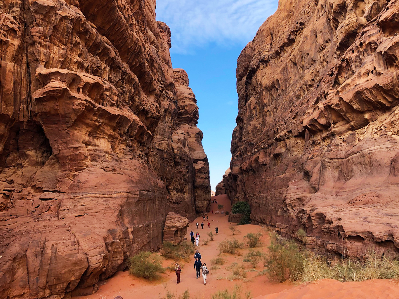 Wadi Rum je plné pískovcových hor, skalních útvarů a soutěsek