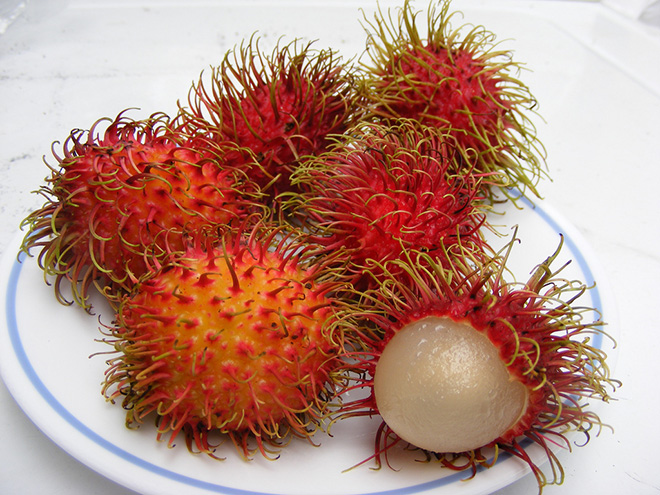Rambutan se využívá také v přírodním léčitelství