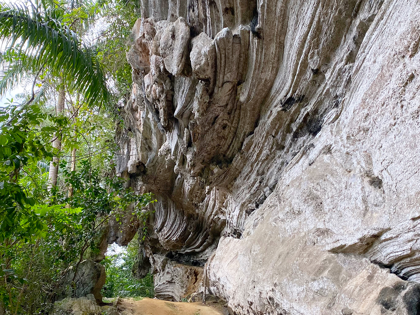 Vápencové pohoří Escambray je plné jeskyní, převisů a dalších krasových jevů
