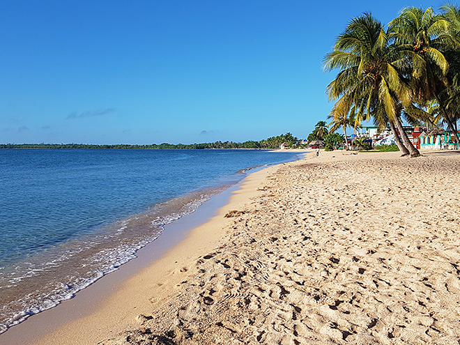 Písečná pláž v Playa Larga na pobřeží Zátoky sviní