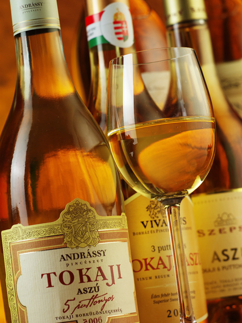Vynikající Tokajské víno se pěstuje na sopečné půdě
