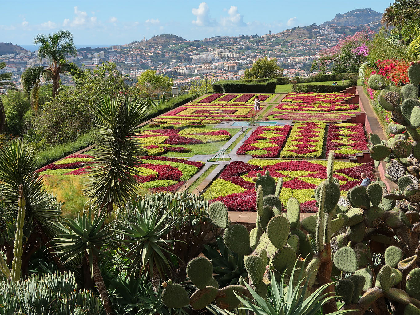 Ikonické květinové "koberce" v Botanické zahradě