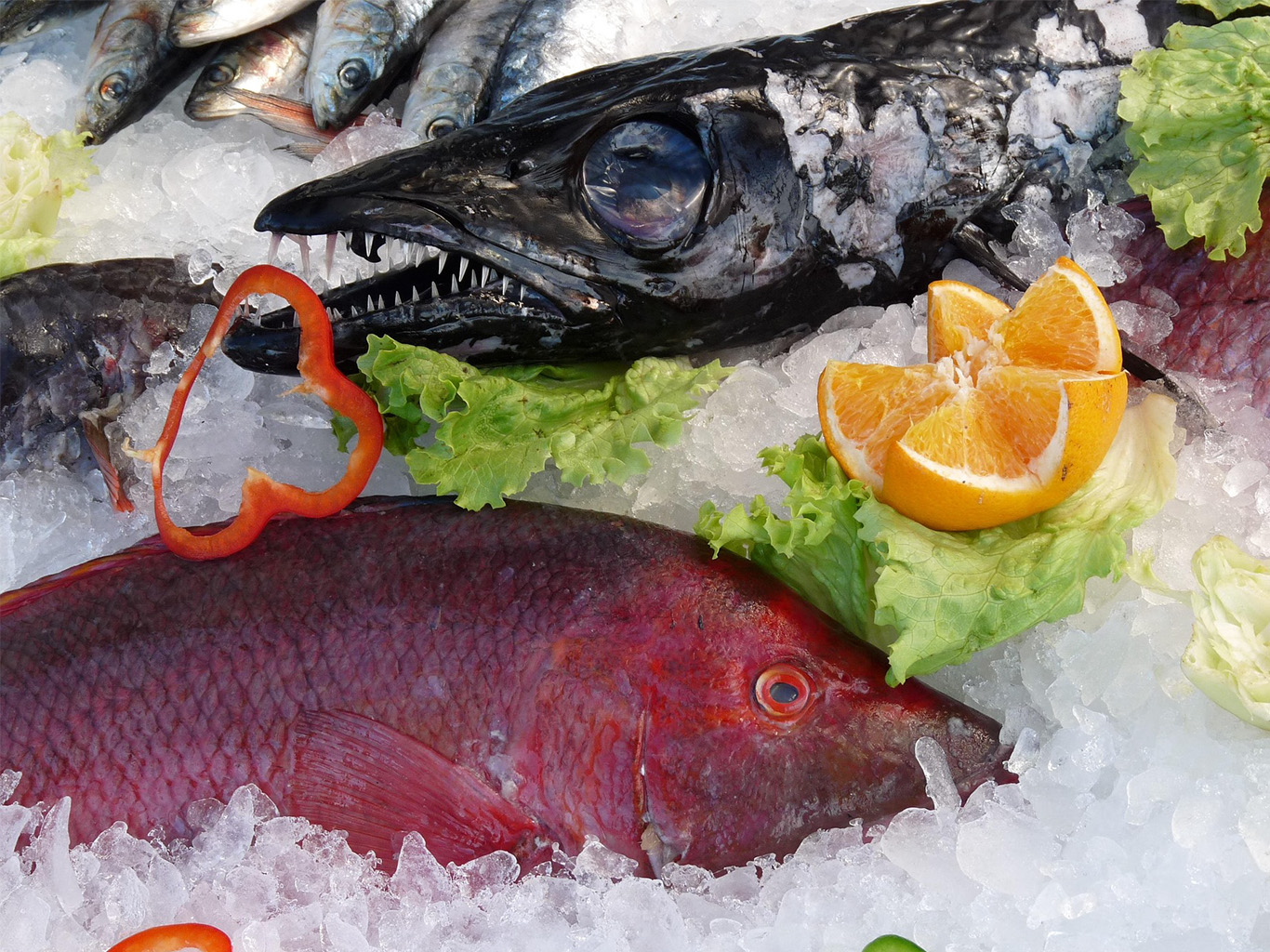 Mořské ryby na Madeiře koupíte za relativně příjemné ceny